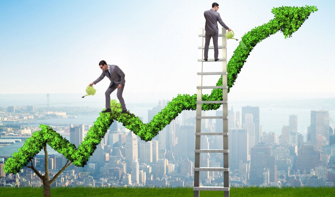 « Eqolink.com : Catalyseur d&rsquo;Inspiration et d&rsquo;Innovation Écologique »