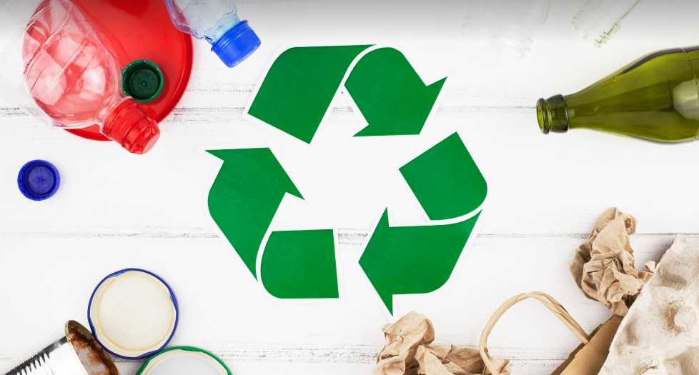 Eqolink.com : Transformez Votre Engagement Écologique en une Histoire de Marque Puissante