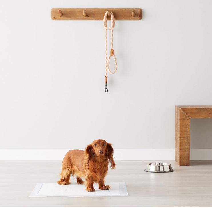 Basics Lot de 50 protections pour déjections canines, anti-fuite, 5 couches, surface à séchage rapide, taille classique, pour chiens et chiots, Bleu